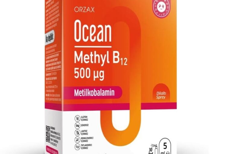 B12 Değeri 509 Ne Anlama Gelir? [Uzman Değerlendirmesi]